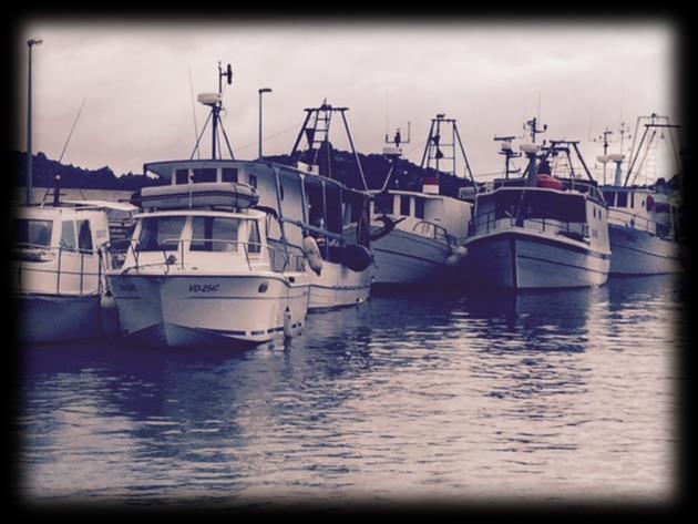 6 Pravilnik o dopuni Pravilnika o obavljanju gospodarskog ribolova na moru pridnenom povlačnom mrežom koćom Dana 11. prosinca 2015.