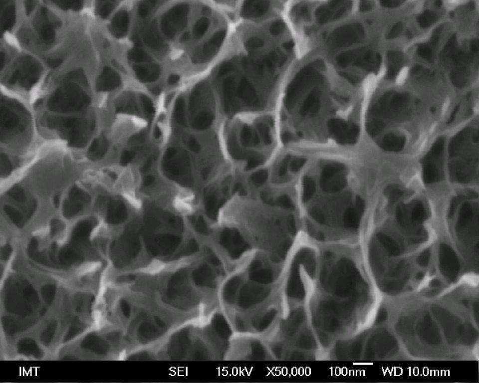 Slika 8. SEM mikrografija površine Ti legure tretirane sa NaOH, Ca(NO3)2 i termičkim tretmanom. Uvećanje x50000. Preuzeto iz [40].