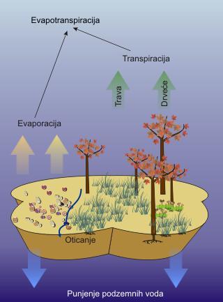 Евапотранспирација Евапотранспирација је истовремено испаравање и са биљака и са земљишта Стварна евапотранспирација је количина испарене воде са земљишта и биљака у