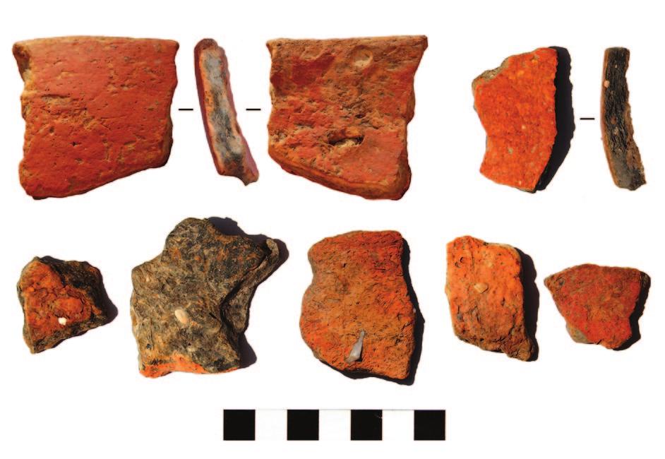 Botić) Standard Starčevo culture pottery finds from the site (photo: K. Botić) Sl. 6 Fig.