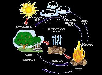 Biomasa je obnovljiv izvor energije, a čine ju brojni proizvodi biljnog i životinjskog svijeta.