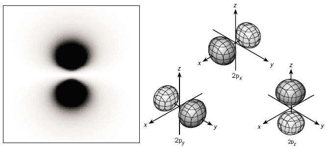 p orbitale imaju oblik sportskih tegova, data ljuska sadrži tri različite p orbitale, orijentisane okomito
