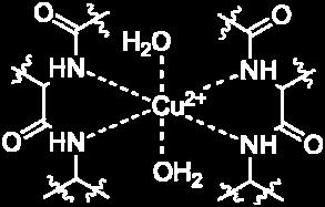 2 H H NH 2 CRHCH H - - N + R + C 2 + 4H 2 H Biuret reakcija Biuret reakcija je reakcija karakteristična na prisustvo peptidne veze.