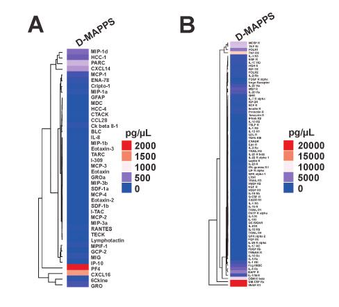 measured immunoregulatory factors, IL-1Ra was found in high concentrations (1000 pg/μl). MSC-derived IL-1Ra is a naturally occurring cytokine which acts as an inhibitor of inflammatory cytokine IL-1.