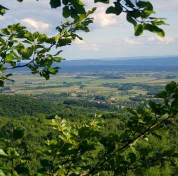 Iako to nije najviši vrh Dilj gore, popularniji je od najviših Degmana i Cinkovca (oba vrha 461 m).