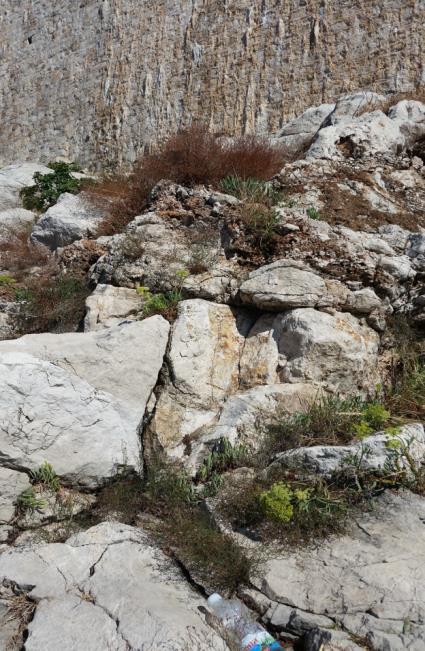 Dubrovnik stjenovita obala pod