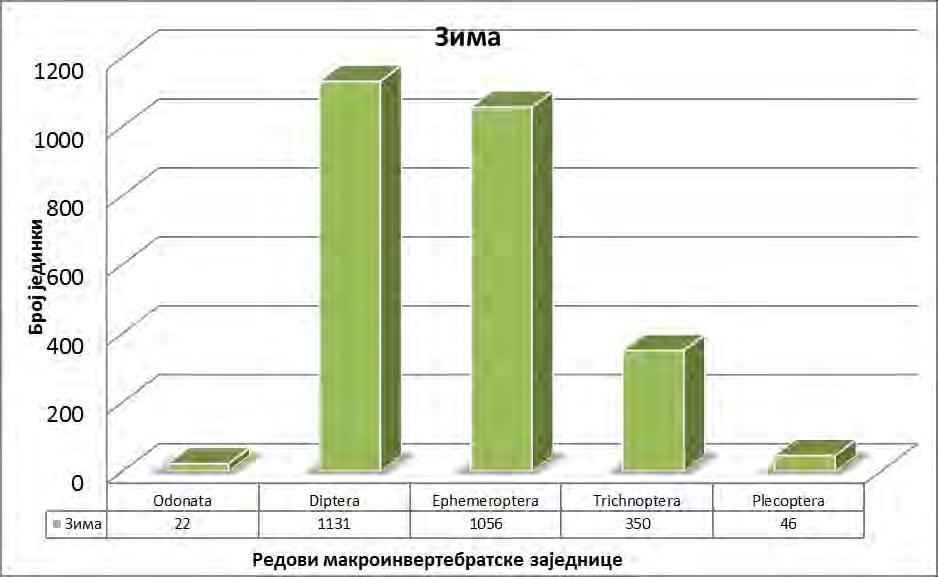 Графикон 5 Састав макроивертебратске заједнице у зимском периоду У зимском периоду доминира заједница Diptera.