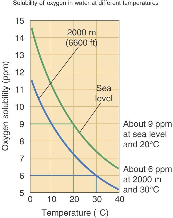 Rastvorljivost kiseonika u vodi Sa porastom nadmorske visine opada saturaciona vrednost kiseonika!