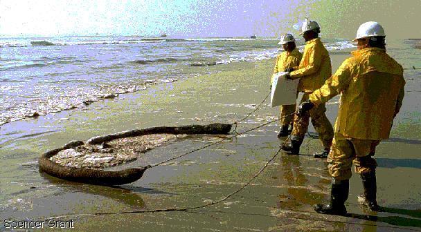 Radnici koriste specijalne mreže prilikom čišćenja kalifornijske plaže nakon isipanja nafte sa tankera. Čak i male količine prosute nafte se brzo šire i zahvataju veliku površinu vode.