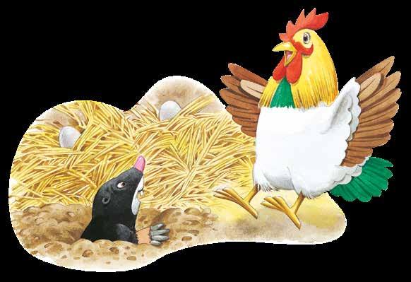 Кртица њушкало На фарми се свако на свој начин спрема за зиму: кока пуни своје легло у кокошињцу меком сламом, да би снела јаја на топлом, магаренцету расте