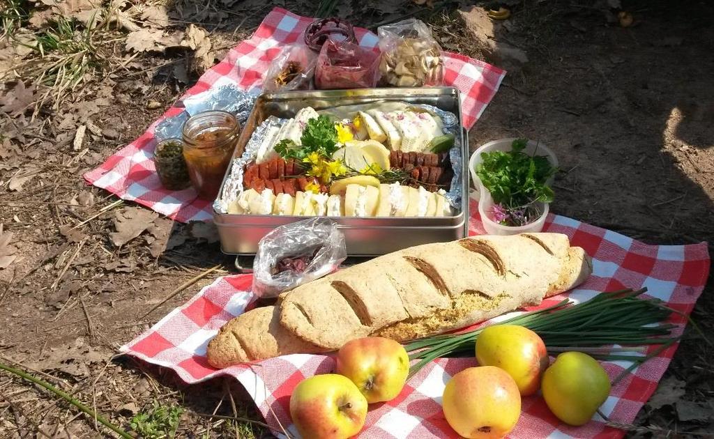 Za šumski piknik Često idemo u planine s obiteljima ili grupama pa usput ogladnimo, tako je nastala ideja o šumskom pikniku, o užini korova i o divljem welnesu.