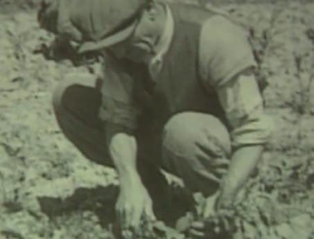 Historical background Scientific research in agriculture was established in Montenegro in 1937, when the Ministry for Agriculture of the Kingdom of Yugoslavia decided to establish the experimental