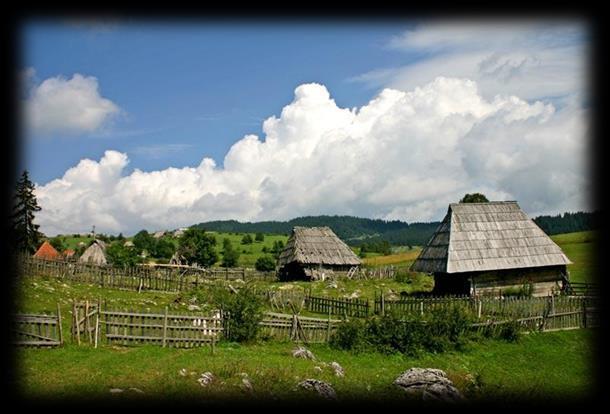 питомих пропланака чини овај простор јединственим. Он је станиште бројних ретких и угрожених врста. Слика бр.6.