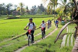 ) Po osobi od 94 Bali biciklom Nakon kratkog uvoda ide se biciklom kroz pirinčana polja i sela. Obići ćete, između ostalog, jednu plantažu, hram i sistem za navodnjavanje.