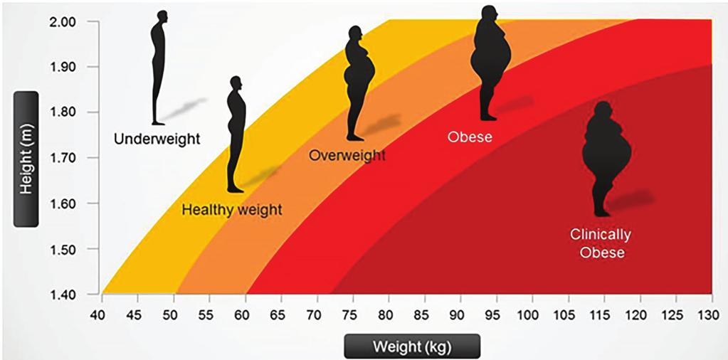Tabela 1. Kategorizacija BMI prema Harisonu (Kristiforović Ilić, 2004) Ocjena BMI kg / m 2 BMI Kategorija <16 Ozbiljna pothranjenost 16-16.9 Srednja pothranjenost 17-18.4 Umjerena pothranjenost 18.