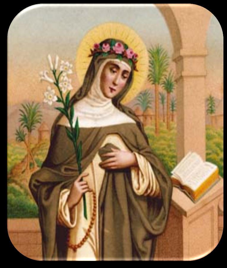 Medicina sv. Hildegard SV.