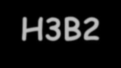 S204 S215 S210 S225 S228 S216 S178 S167 S223 S233 S211 S221 S222 S219 S244 S227 S206