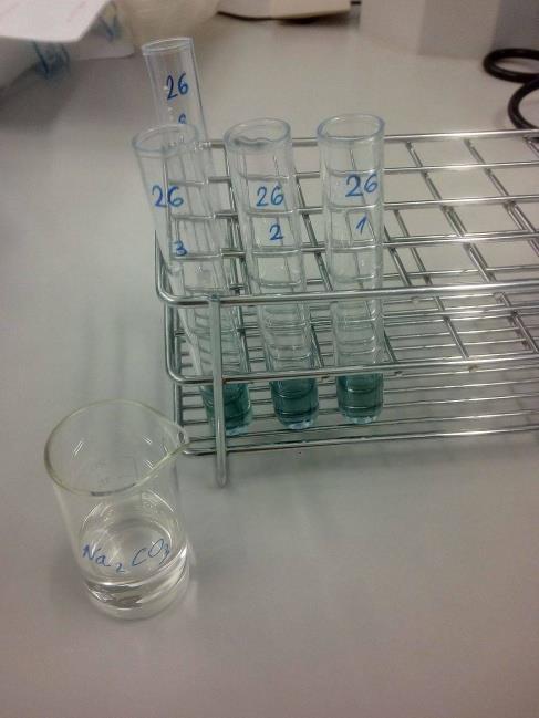 Kada je miješanje završeno u epruvete proba i epruvetu slijepa proba dodaje se pipetom 1000µl Na₂CO3 (7,5%) i ponovno se dobro promiješa.