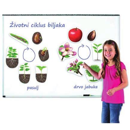 Pano drvo četiri godišnja doba NS 49 12.830,00 din Dimenzije 130 x 80 cm, sa 39 pokretnih elemenata.