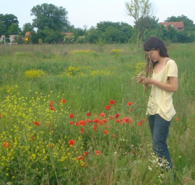 Polovic ms sušen je n zrku u lbortoriju te u sušioniku n konstntnoj temperturi od 60 ºC.