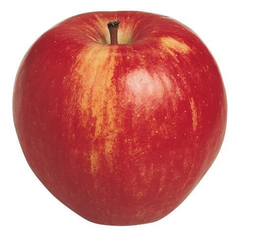 Sorte jabuka uključene u istraživanje Slika 2. Jabuka sorte Gala (preuzeto sa http://www.buyfruit.com.au/royal-gala-apple, 15.4.2018.) 4.3. Sorta Braeburn Sorta Braeburn moderna je sorta jabuke.