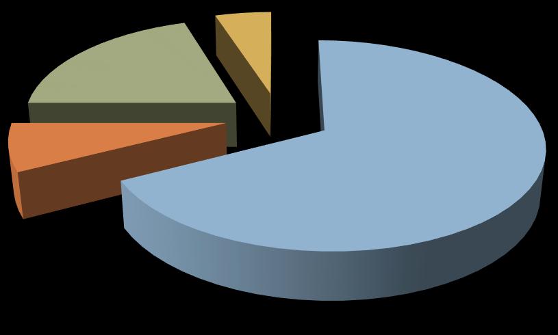 PRETRAŽIVAČI Najčešće koriščeni pretraživači chrome firefox explorer safari drugo 20% 0% 5% Većina učenika najčešće koristi Chrome kao pretraživač.