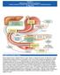 Chapter 6 Abnormalnosti Digestivnog Sistema: Gluten and Kazein, Peptidi, Sekretin, Holecistokinin, i Atrofija Pankreasa Dr Vilijam Šo Osetljivost na G